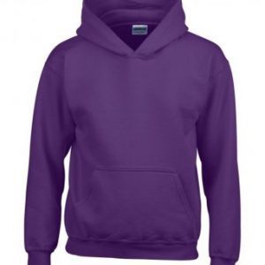 AWD Just Hoods BPS Embroidered Childs Hoody