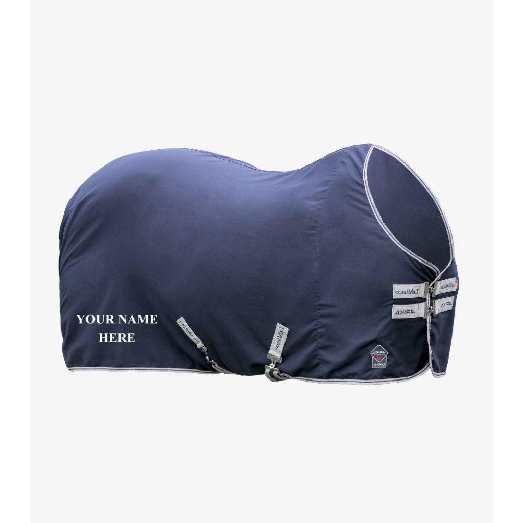 British Dressage Youth Inter Regionals Arika Stable Sheet - Image 2
